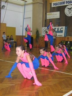 Obrázek v galerii