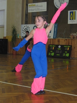 Obrázek v galerii