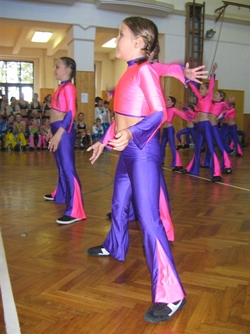 Obrázek v galerii
