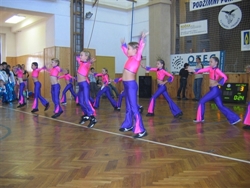 Obrázek v galerii