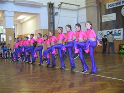 Obrázek v galerii