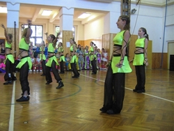 Obrázek v galerii