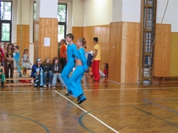 Obrázek v galerii