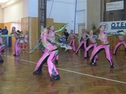 Obrázek v galerii