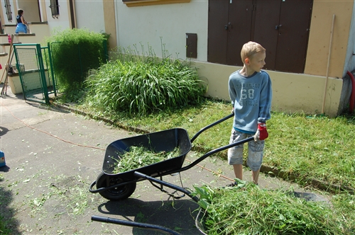 Obrázek v galerii