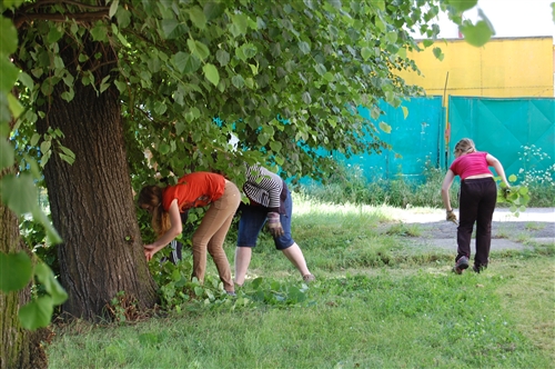Obrázek v galerii