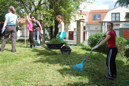 Obrázek v galerii