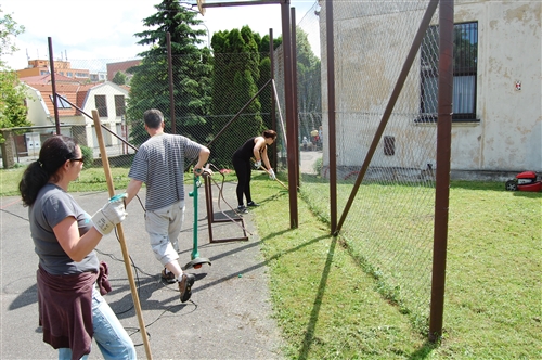 Obrázek v galerii