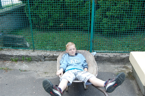 Obrázek v galerii