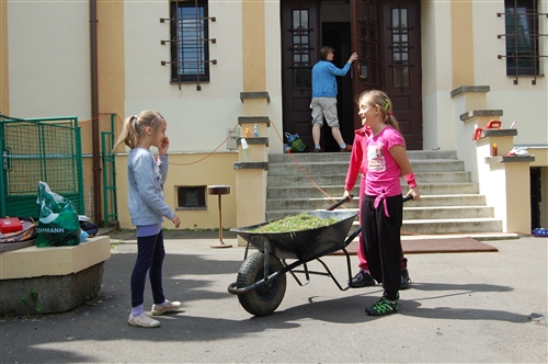 Obrázek v galerii