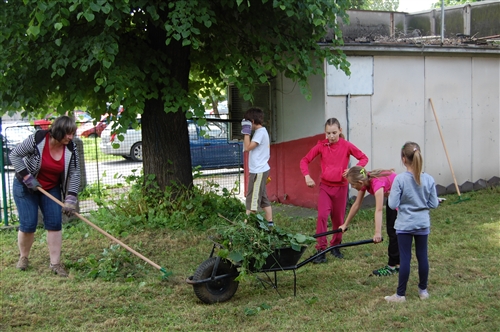 Obrázek v galerii