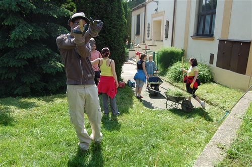 Obrázek v galerii