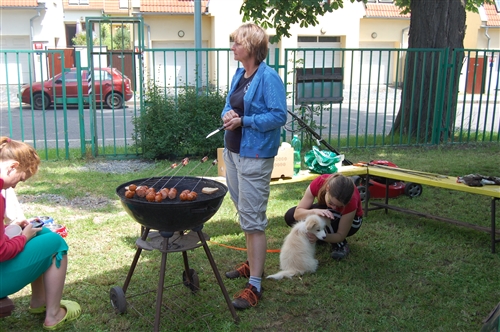 Obrázek v galerii