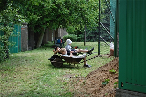 Obrázek v galerii