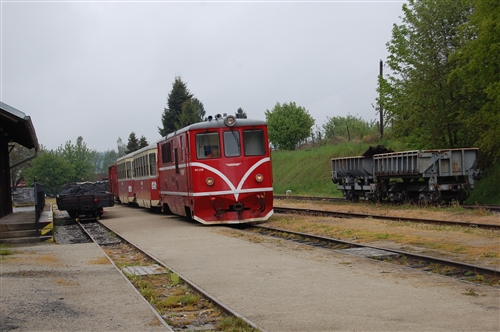 Obrázek v galerii