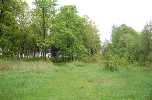 Obrázek v galerii