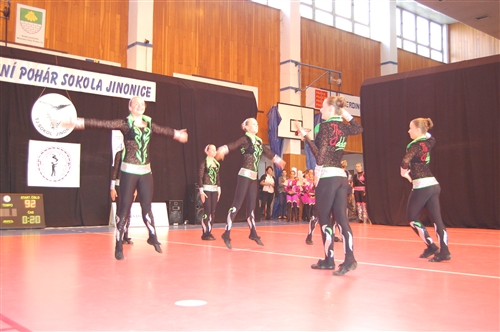 Obrázek v galerii