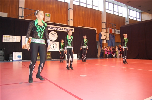 Obrázek v galerii