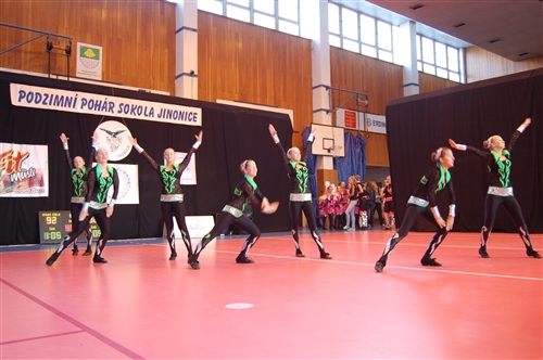 Obrázek v galerii
