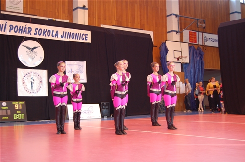 Obrázek v galerii
