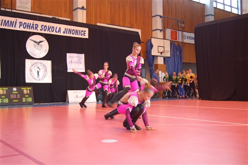 Obrázek v galerii
