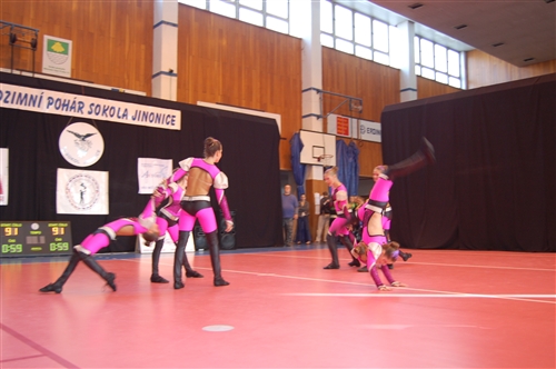 Obrázek v galerii