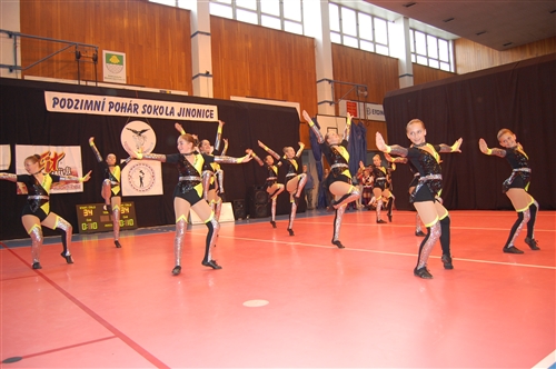 Obrázek v galerii