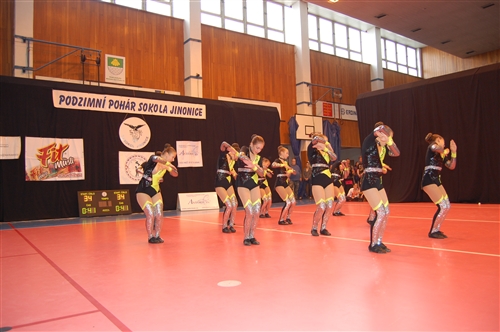 Obrázek v galerii