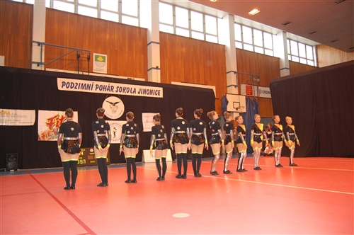 Obrázek v galerii