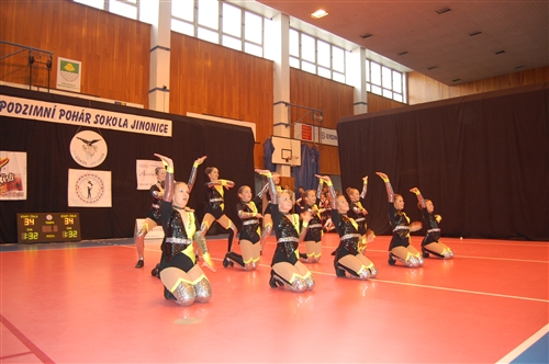Obrázek v galerii
