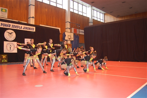 Obrázek v galerii