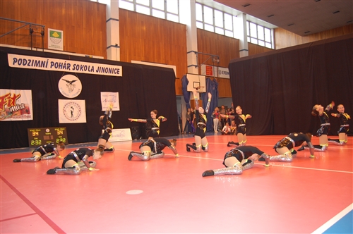 Obrázek v galerii