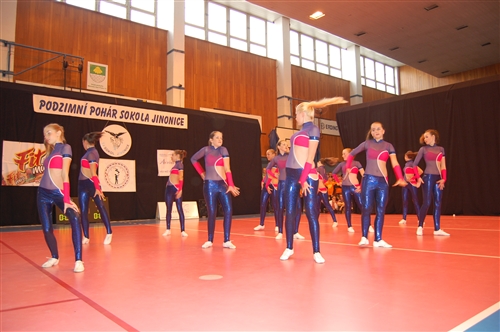 Obrázek v galerii