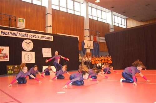 Obrázek v galerii