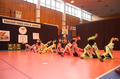 Obrázek v galerii