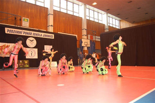 Obrázek v galerii