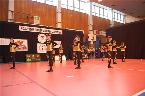 Obrázek v galerii