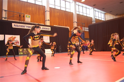 Obrázek v galerii