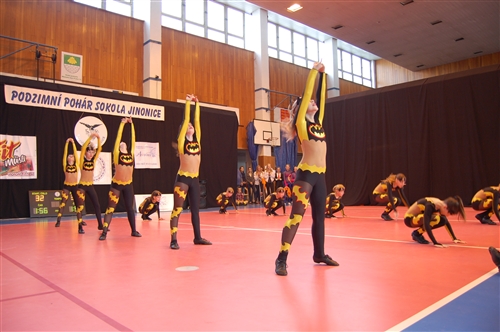 Obrázek v galerii