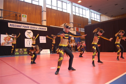 Obrázek v galerii