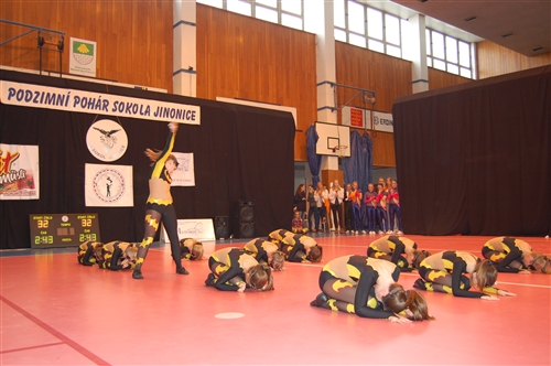 Obrázek v galerii