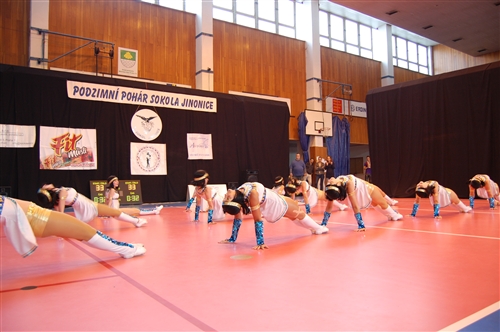 Obrázek v galerii