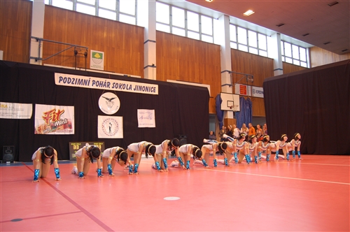 Obrázek v galerii