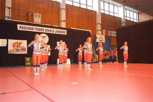 Obrázek v galerii