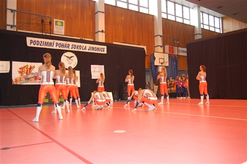 Obrázek v galerii