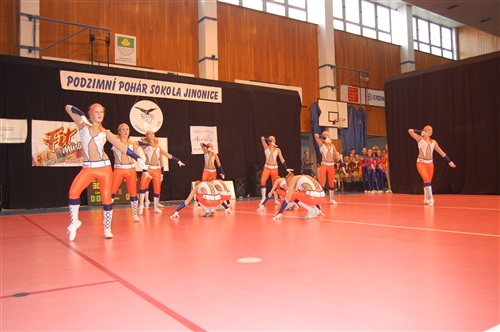 Obrázek v galerii