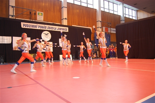 Obrázek v galerii