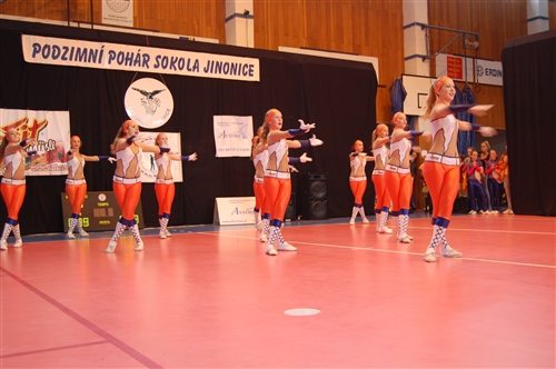 Obrázek v galerii