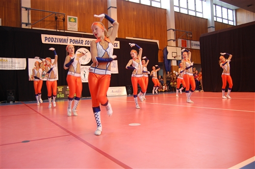 Obrázek v galerii