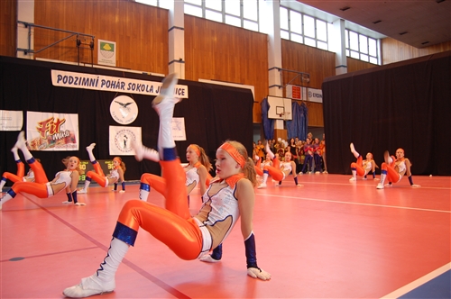 Obrázek v galerii